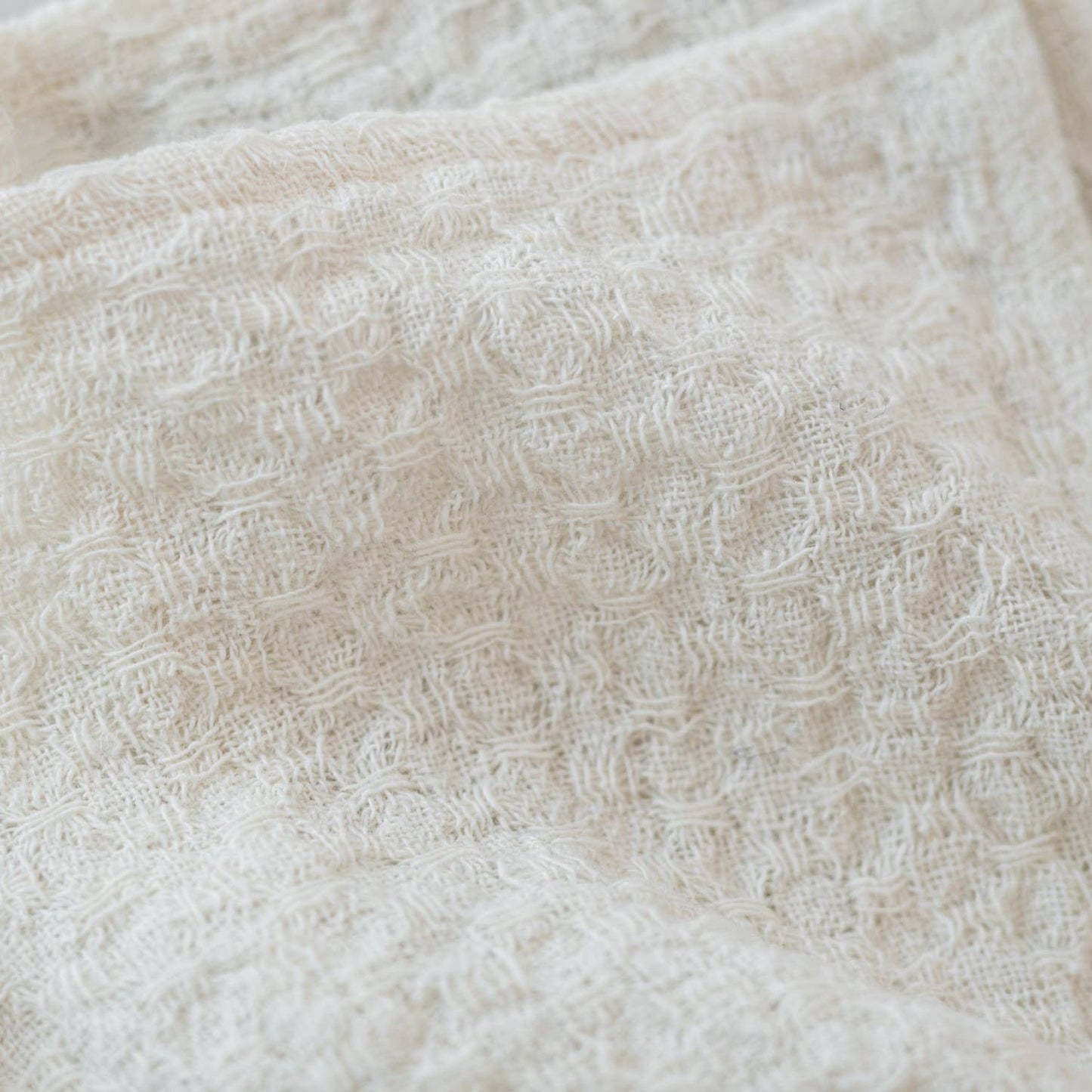 Undyed Linen Dishcloth Set of 2