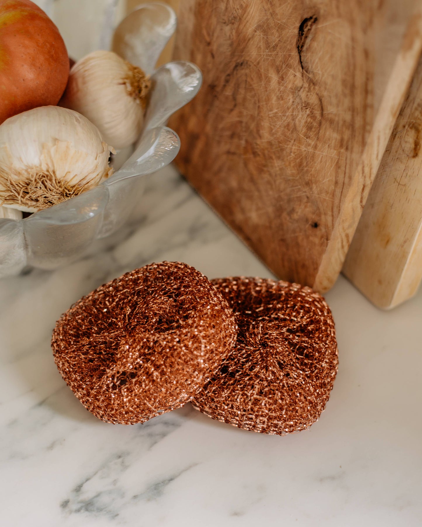 Copper Dish Sponge