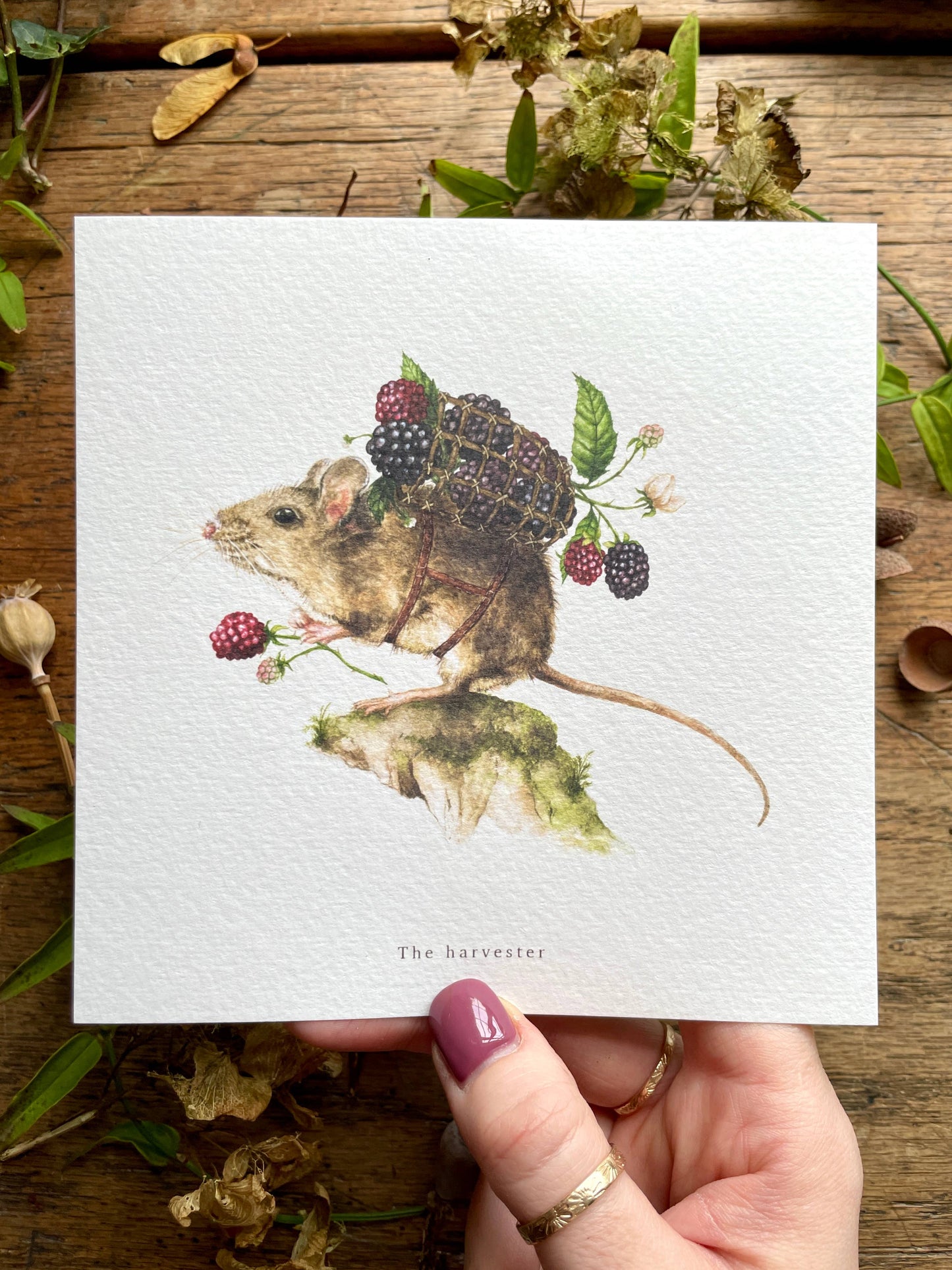 The Harvester Whimsical Animal Square Watercolour Art Print