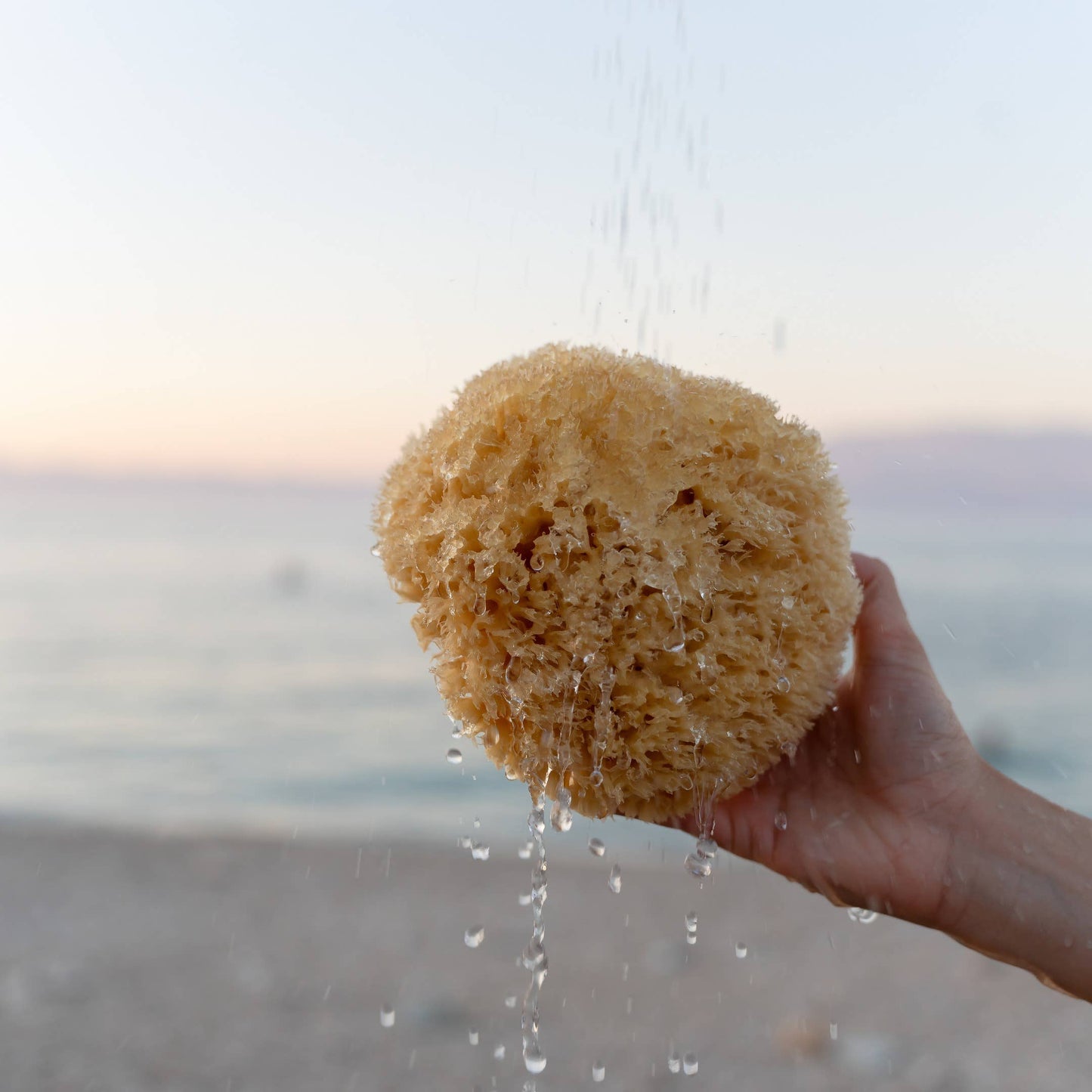 Natural Sea Sponge