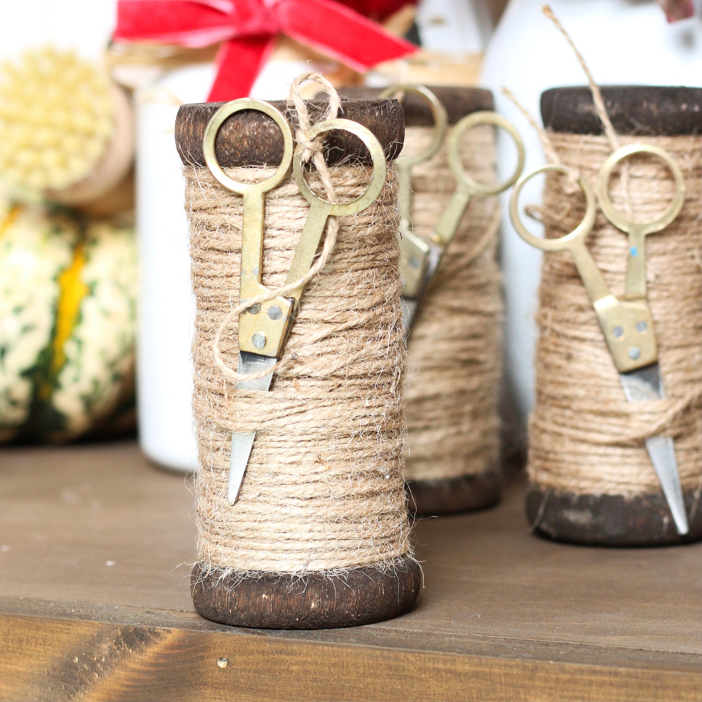 Garden Twine with Scissors