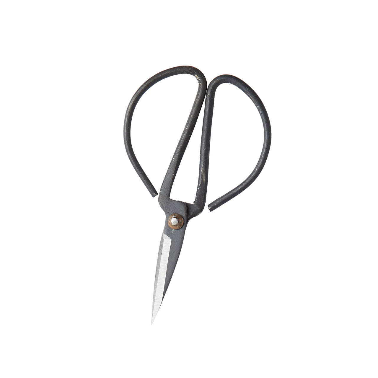 Pruning Scissors