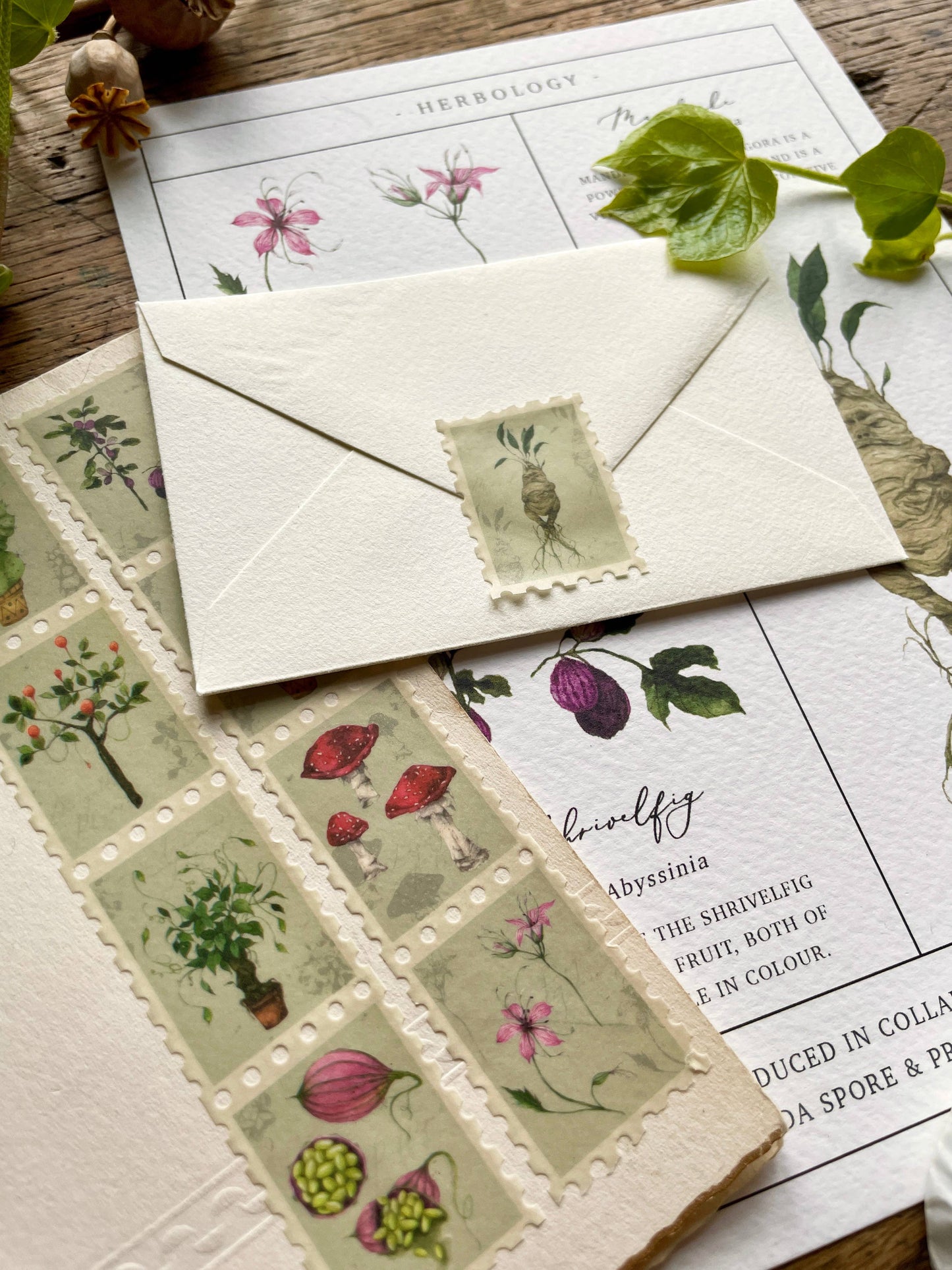 Magical Botanical Herbology Stamp Washi Tape