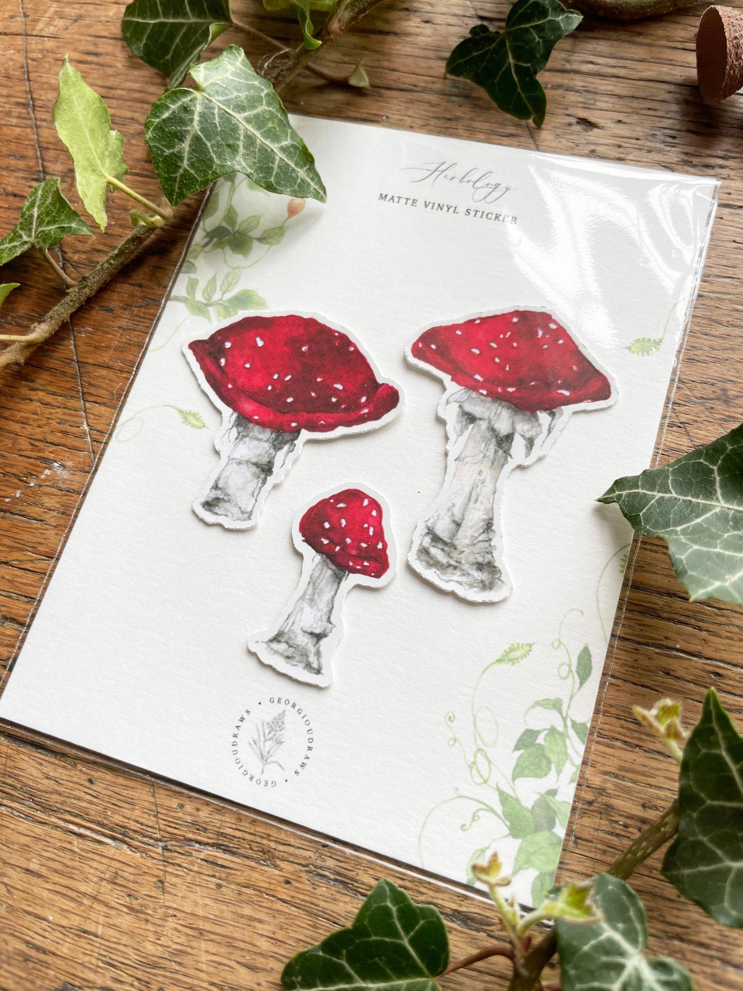 Toadstools Matt Vinyl Sticker set | Magical Herbology Art