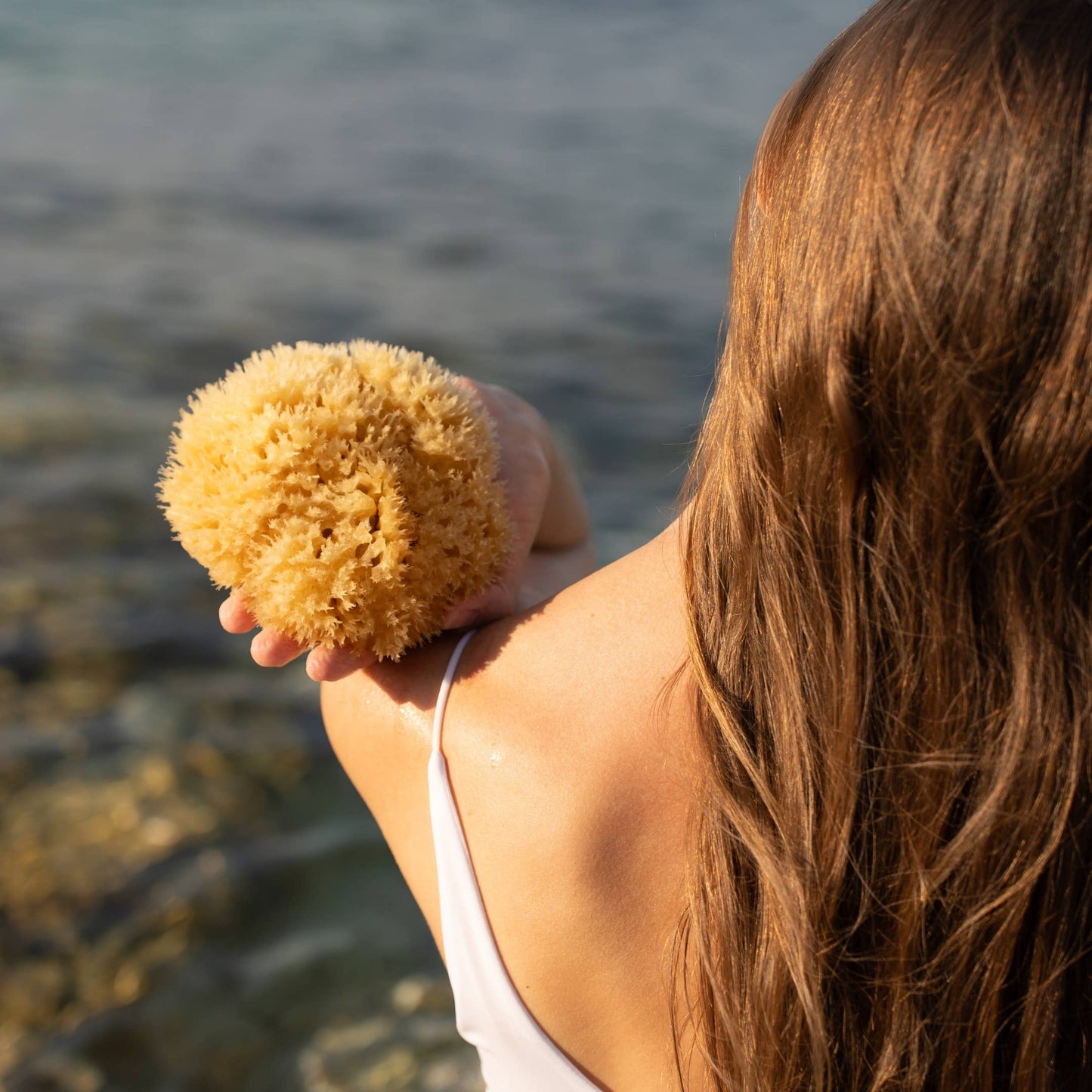Natural sponge in an eco-friendly gift box: Medium