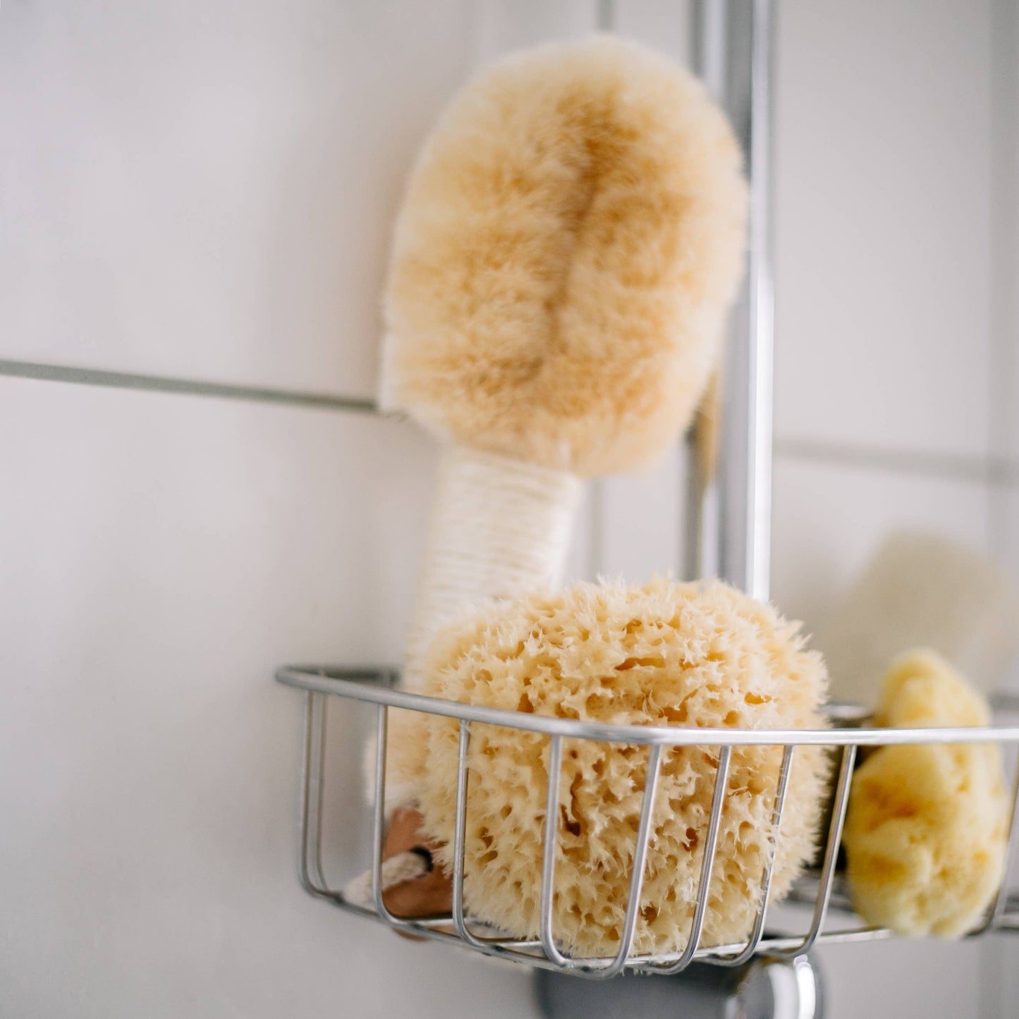 Natural sponge in an eco-friendly gift box: Medium