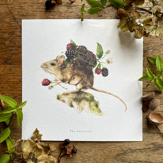 The Harvester Whimsical Animal Square Watercolour Art Print