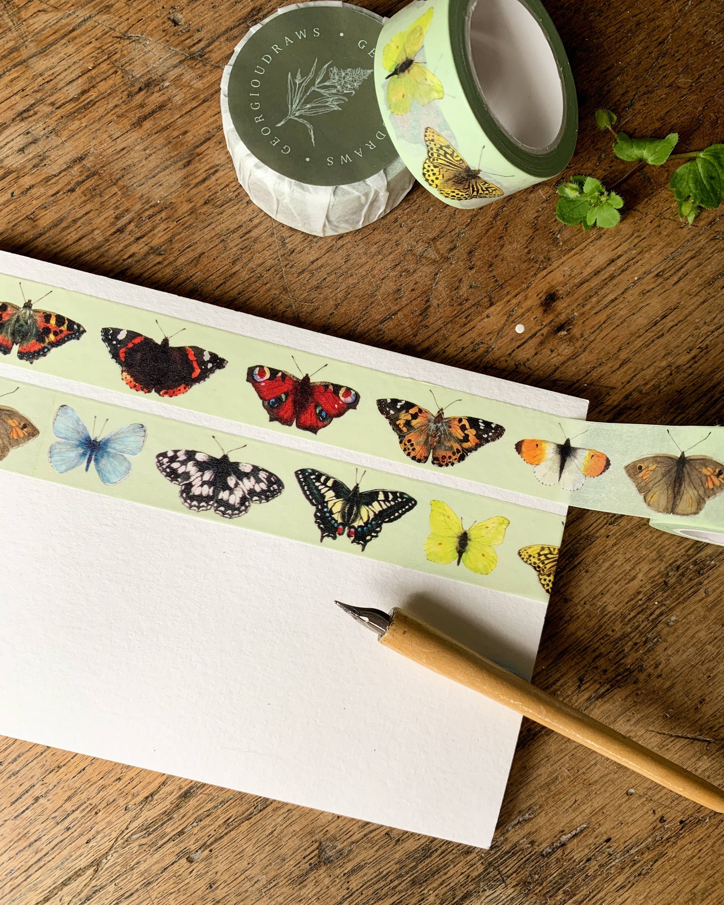 British Butterflies Washi Tape | Insect Entomology Butterfly