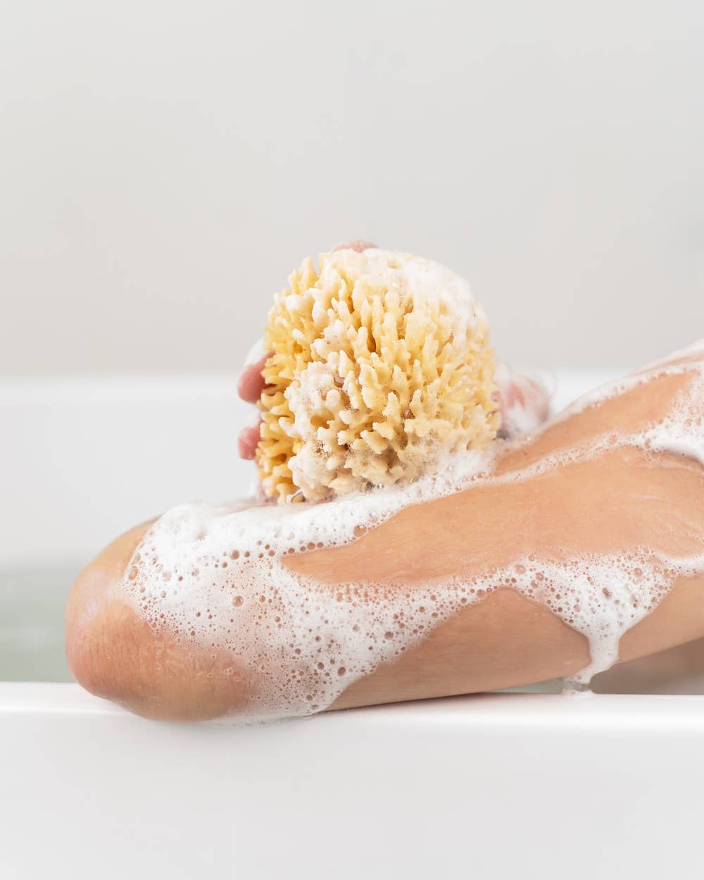 Natural sponge in an eco-friendly gift box: Medium