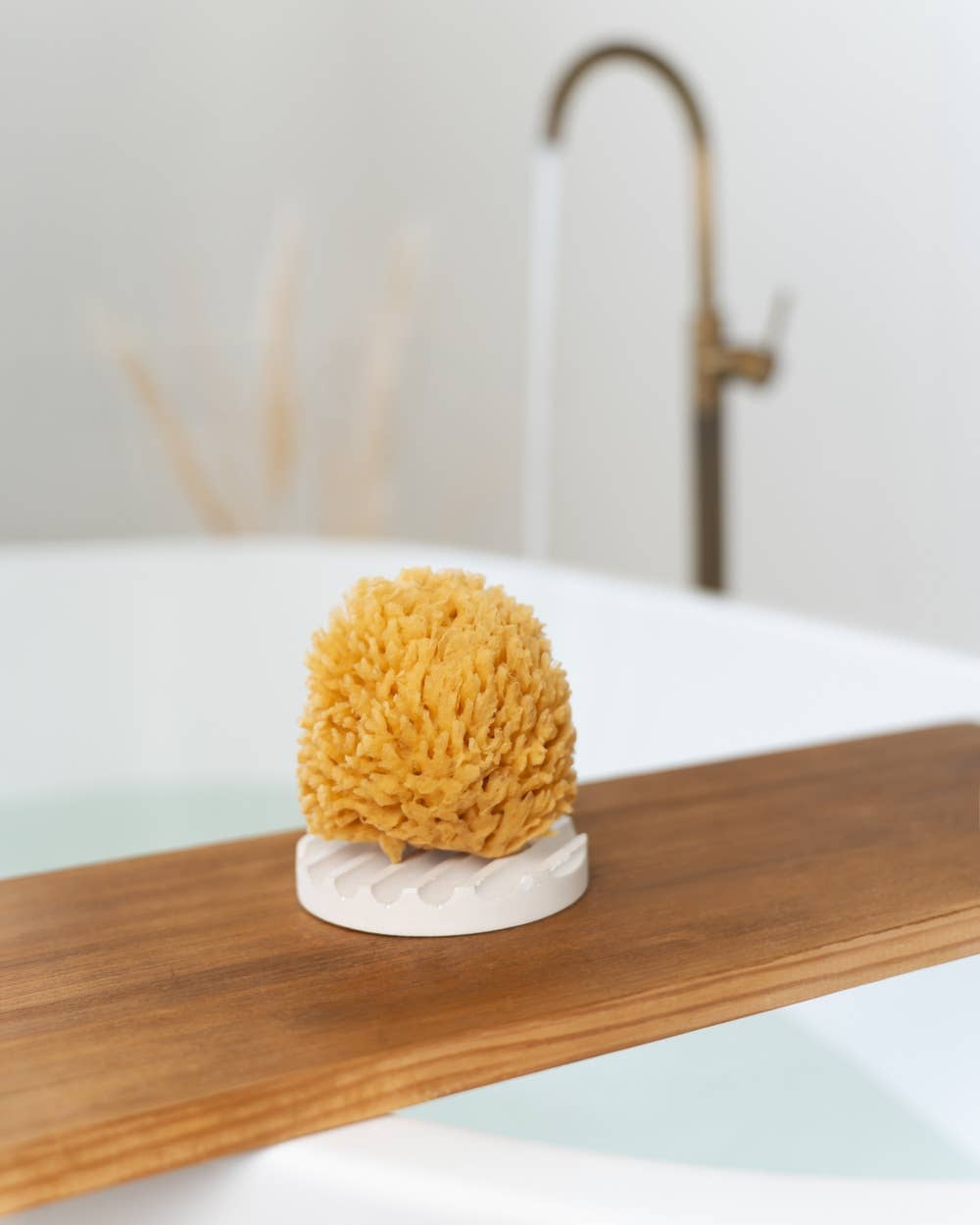Natural sponge in an eco-friendly gift box: Medium
