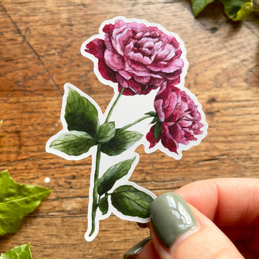 Dark Pink Peony Matt Vinyl Floral Sticker