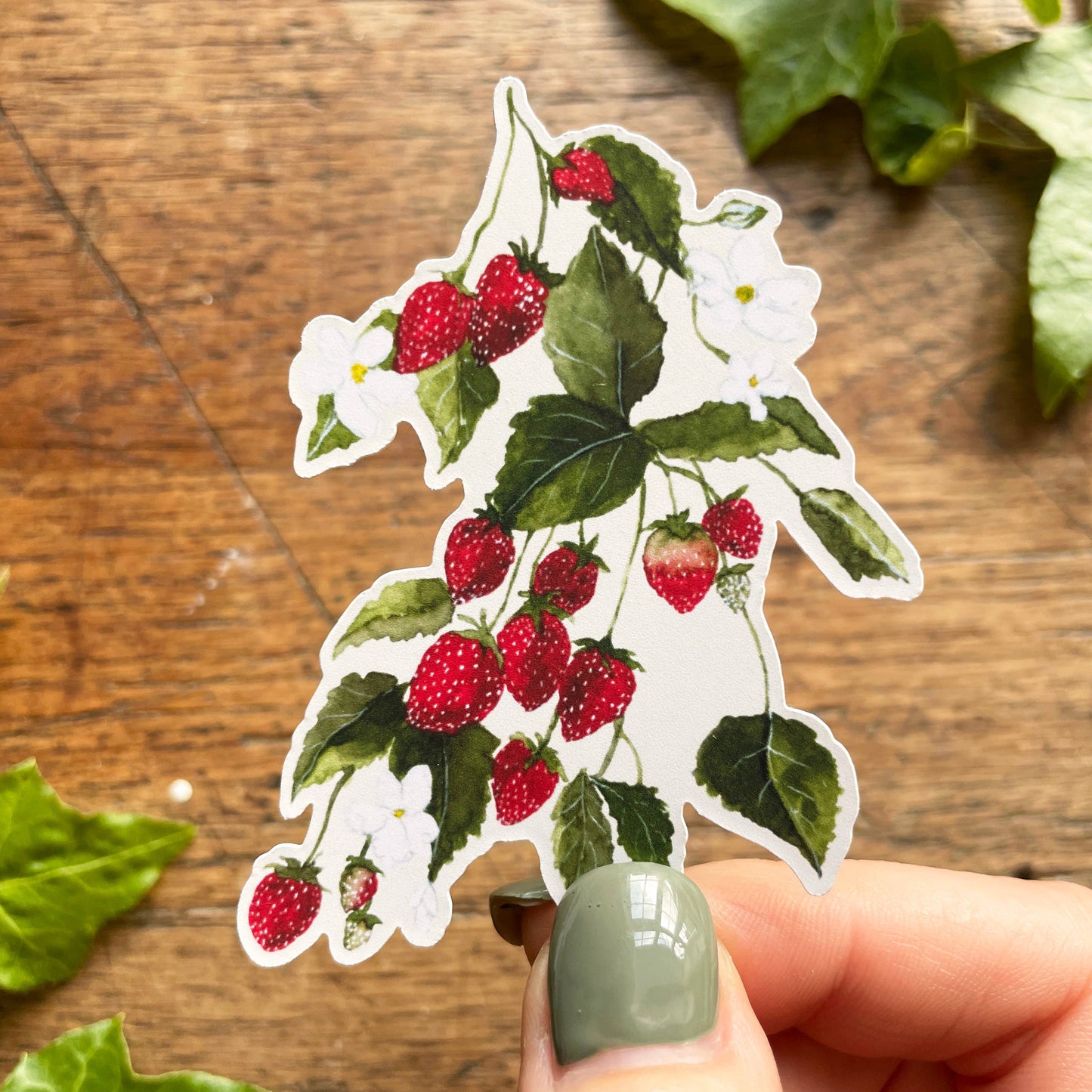 Strawberries Matt Vinyl Botanical Sticker