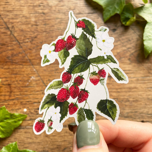 Strawberries Matt Vinyl Botanical Sticker