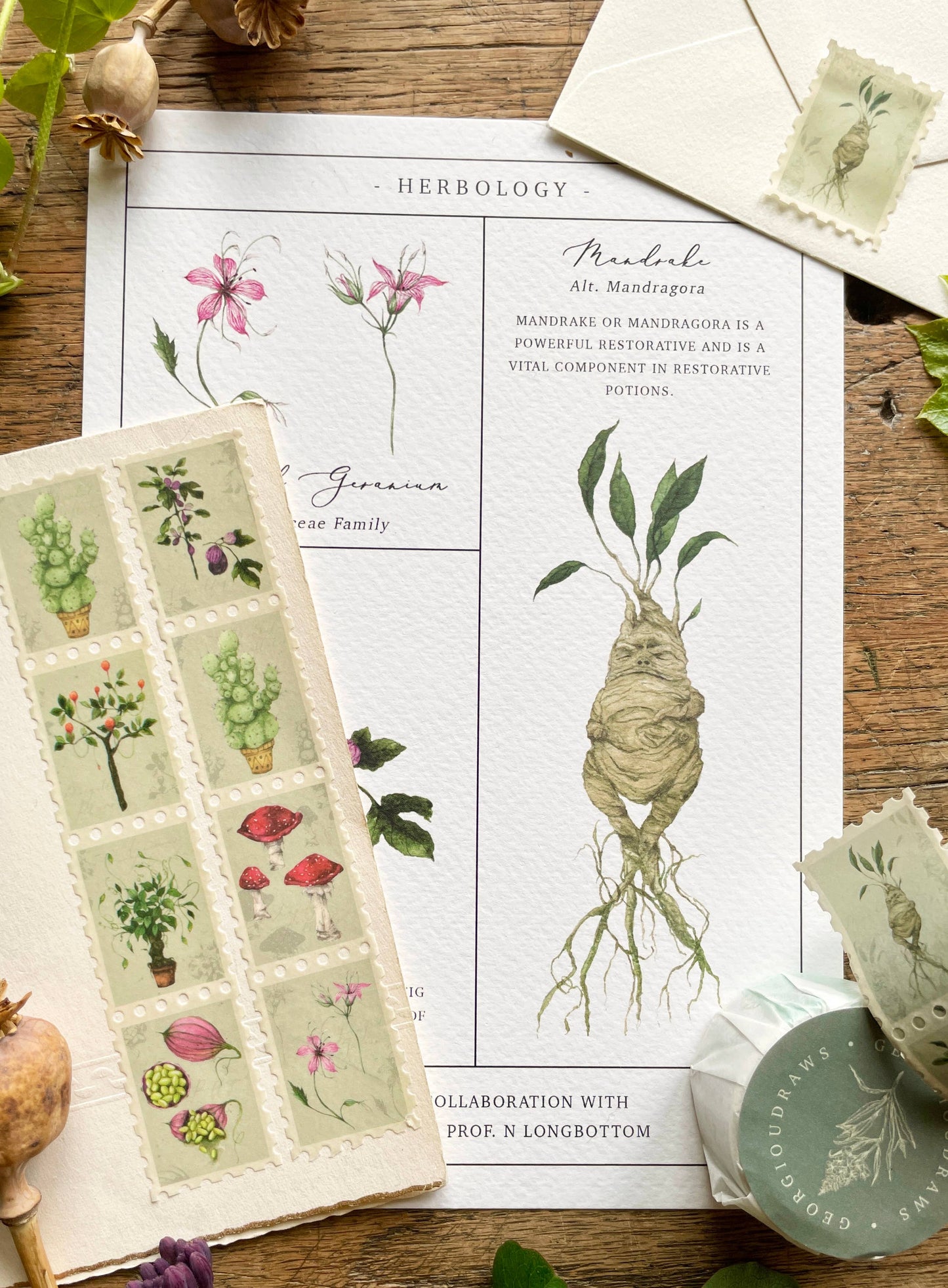 Magical Botanical Herbology Stamp Washi Tape