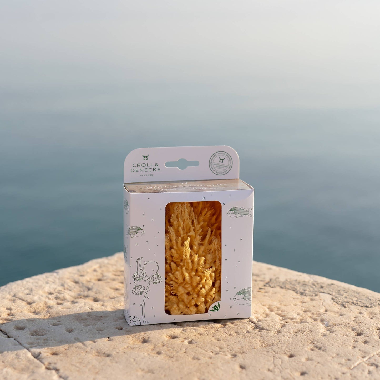Natural sponge in an eco-friendly gift box: Medium