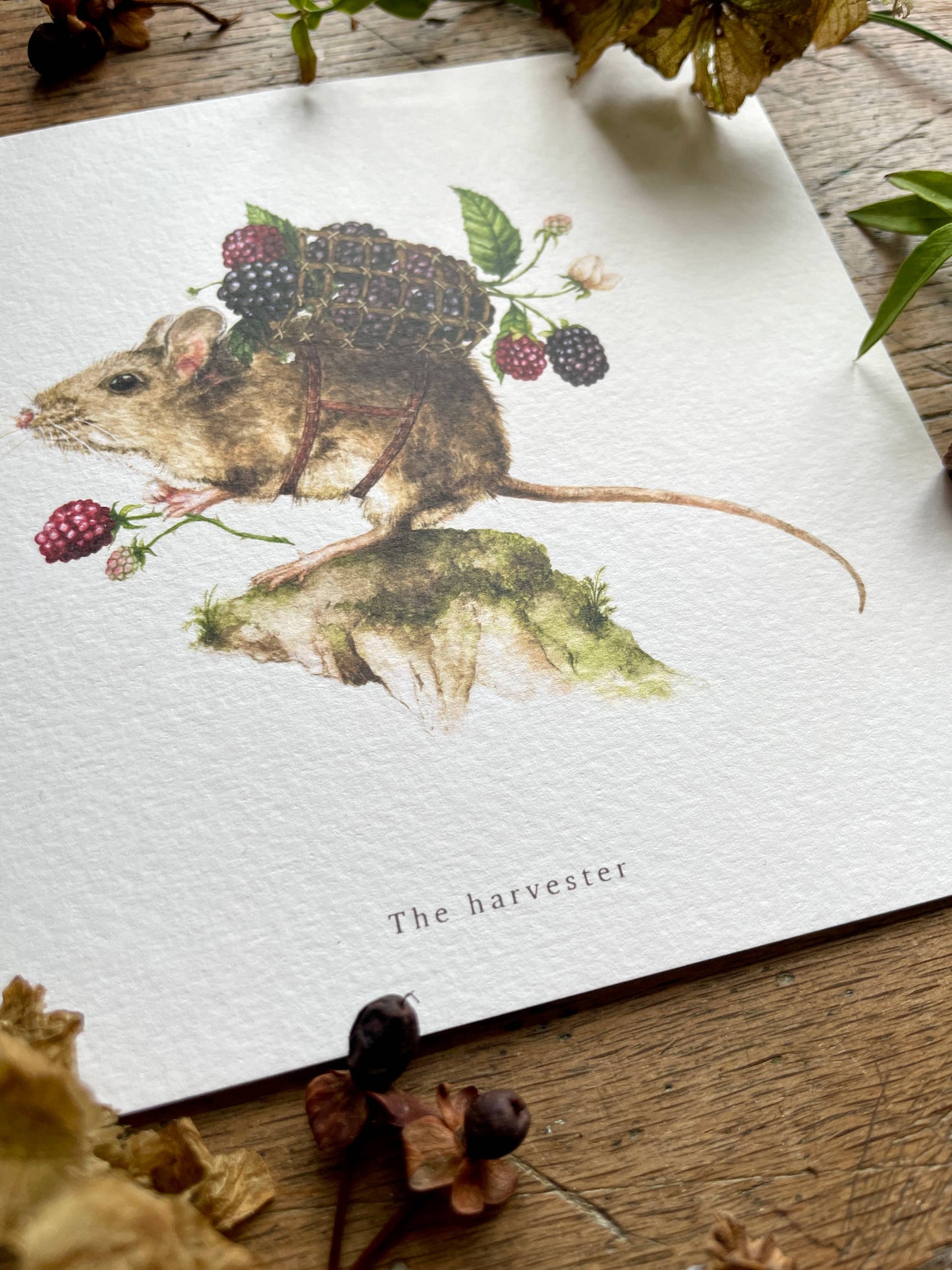 The Harvester Whimsical Animal Square Watercolour Art Print