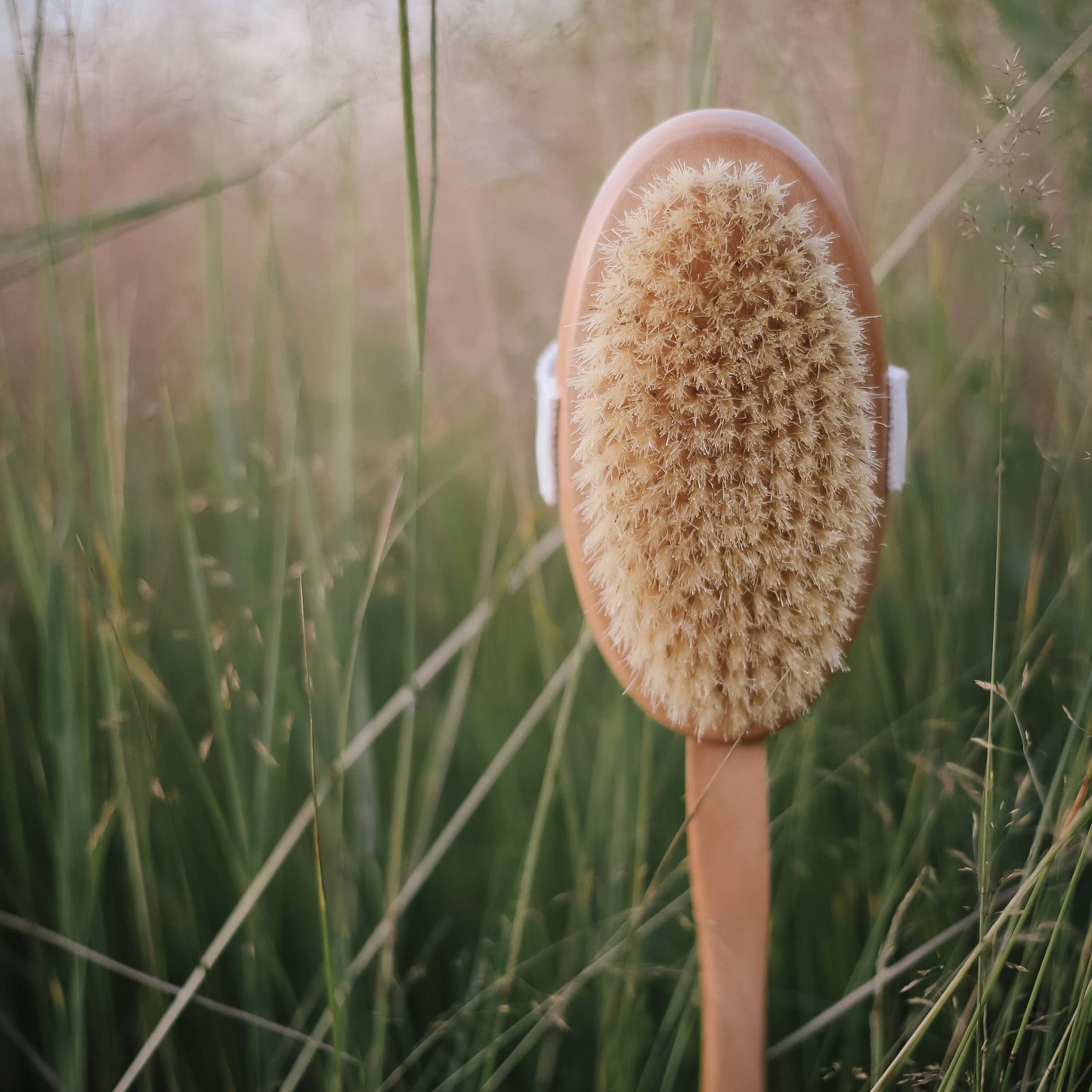 Pale Body Brush with Handle