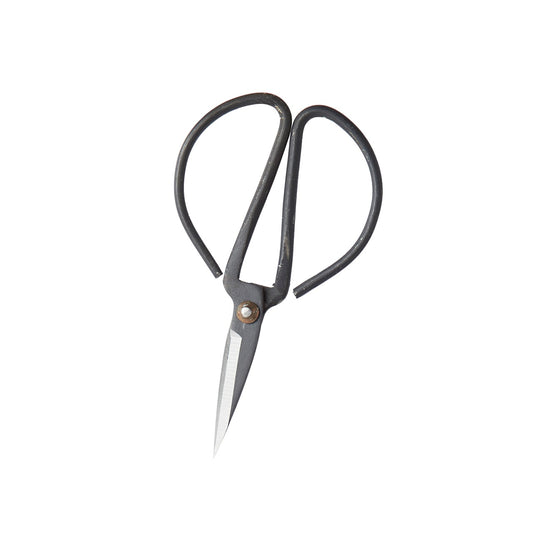Pruning Scissors