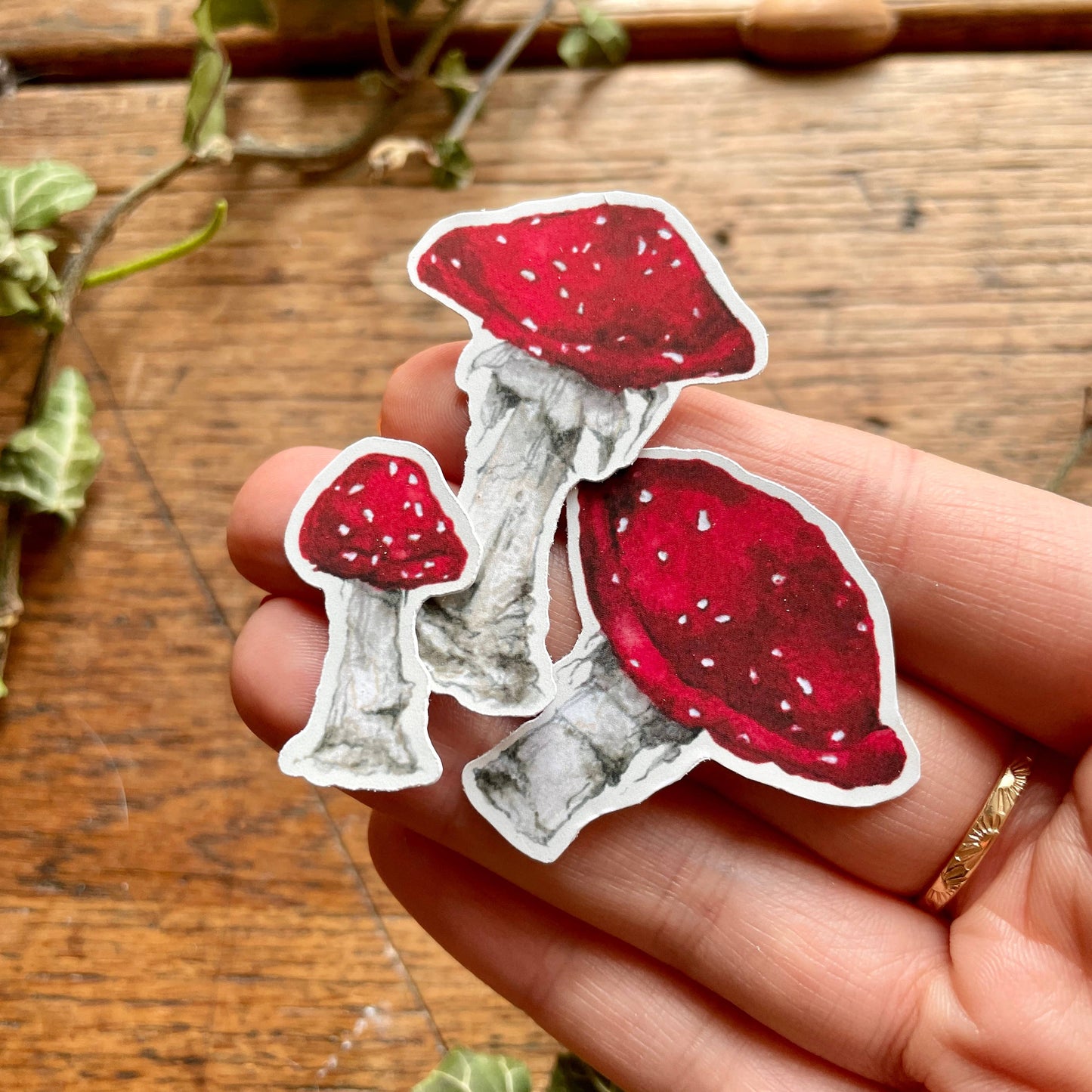 Toadstools Matt Vinyl Sticker set | Magical Herbology Art