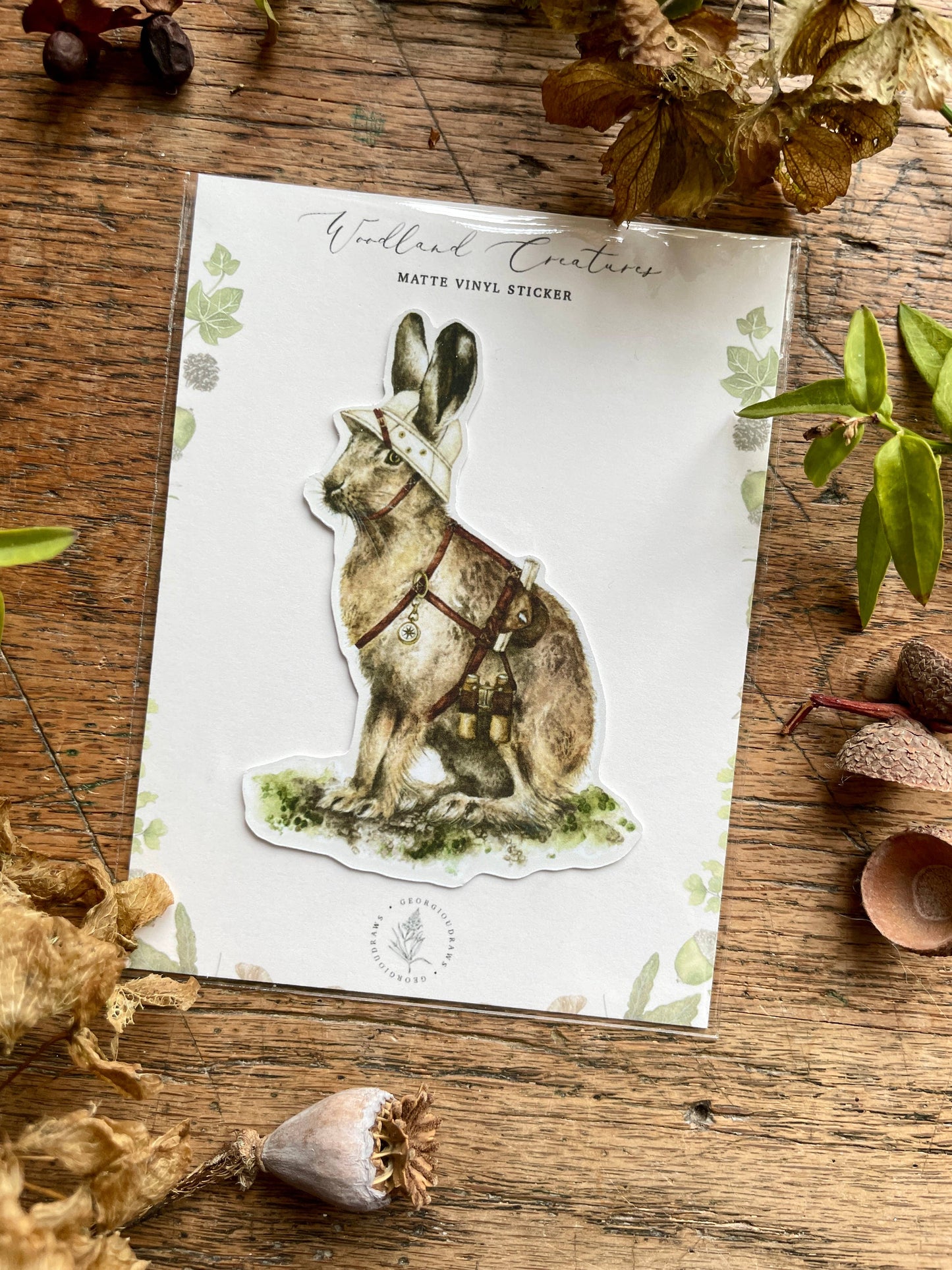 The Explorer Matt Vinyl Sticker | Whimsical Animal Nature